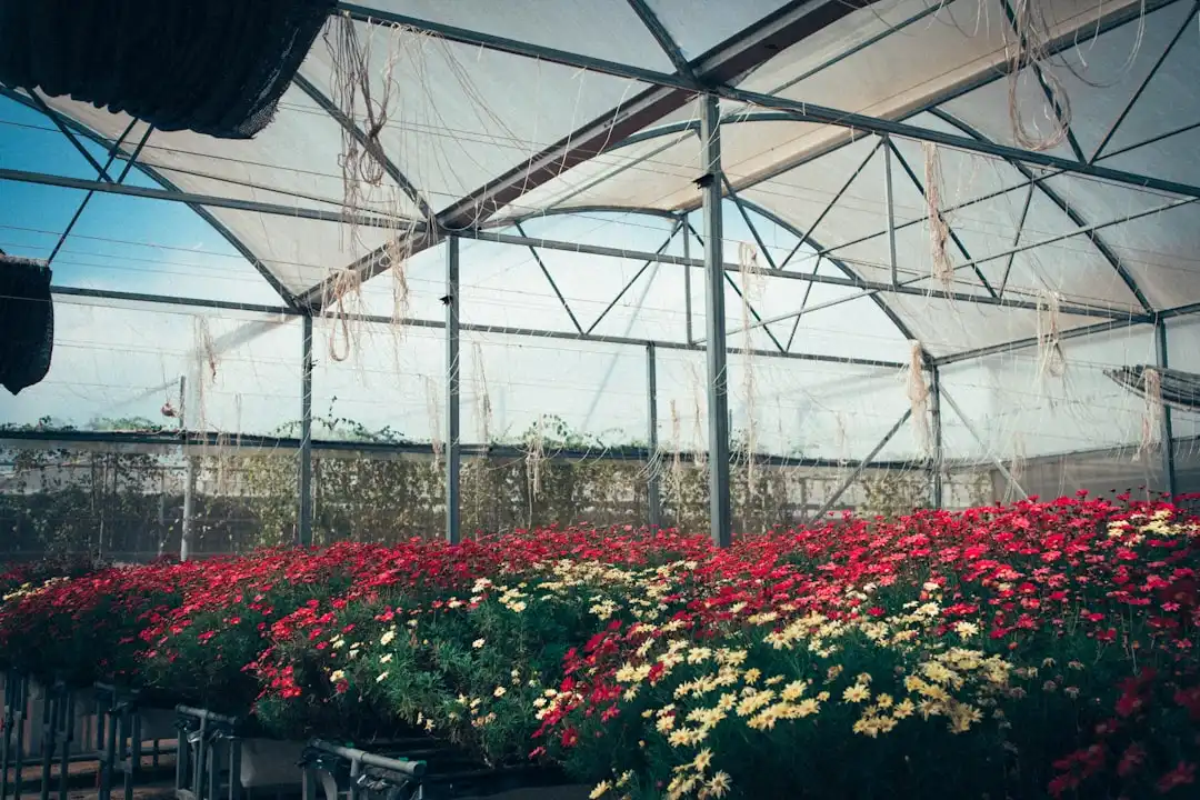 西咸新区锁之芯：防盗门锁芯技术升级与故障排查指南